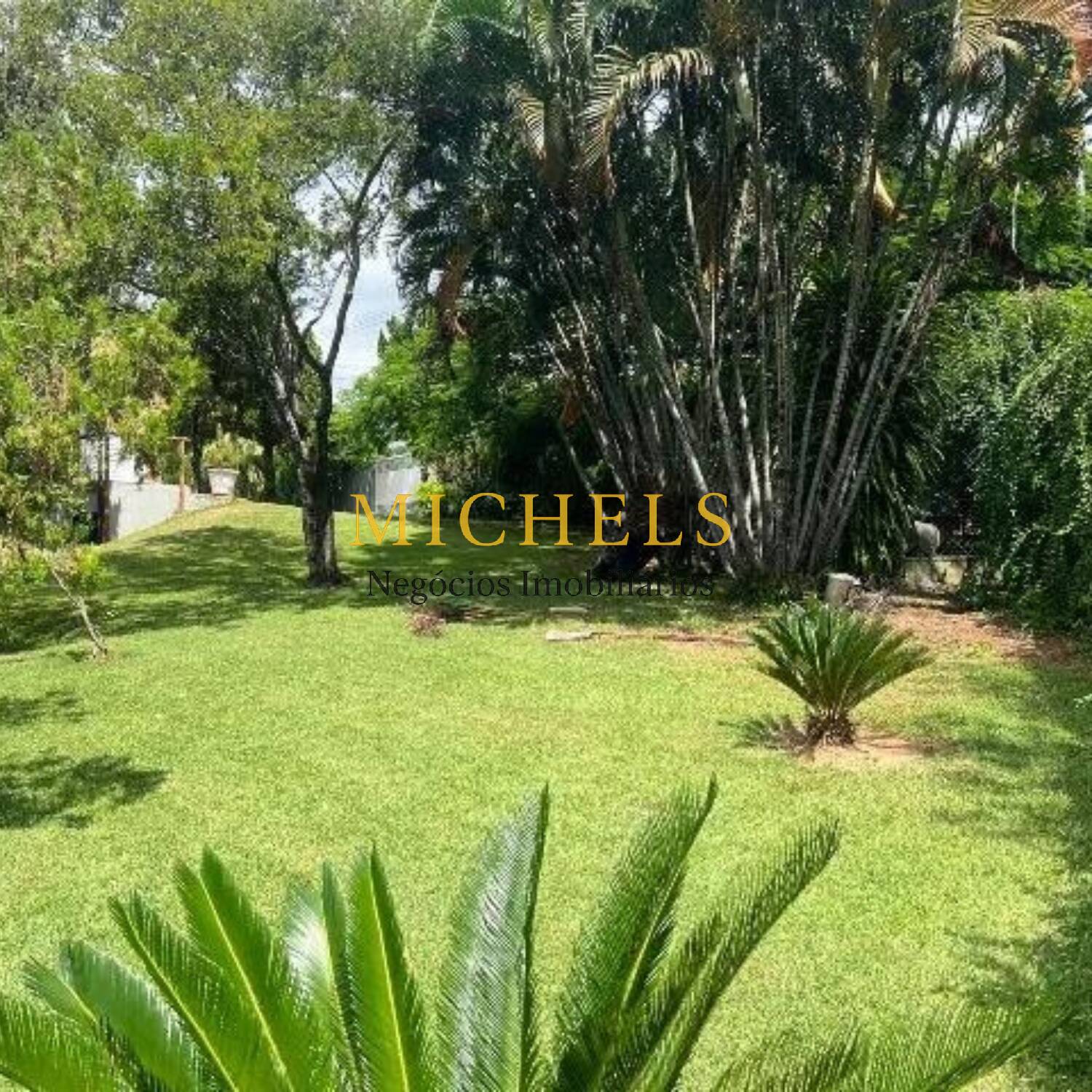 Chácara, 3 quartos, 2500 m² - Foto 9