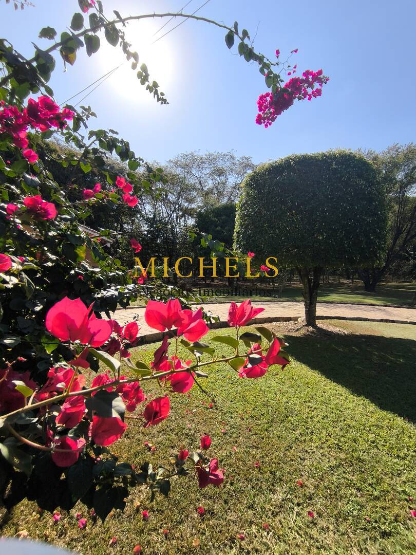 Chácara, 4 quartos, 6000 m² - Foto 1