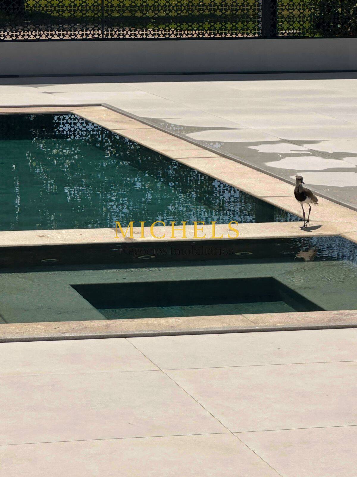 Sítio, 10 quartos, 1 hectares - Foto 45