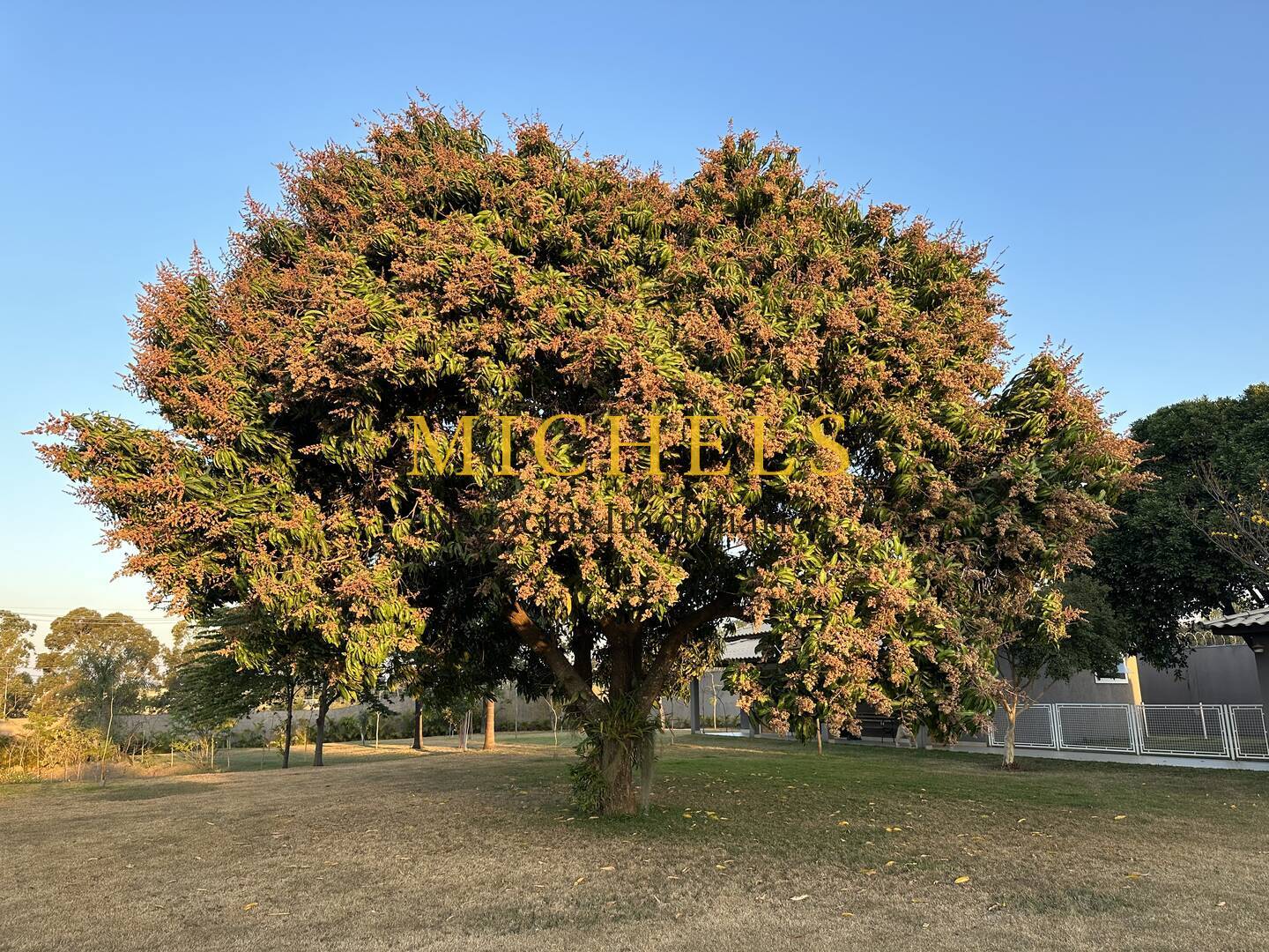 Sítio, 10 quartos, 1 hectares - Foto 57